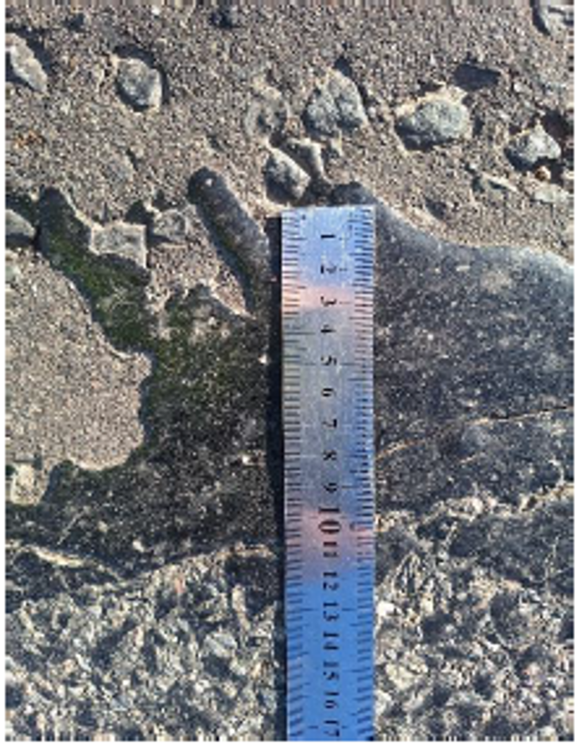 Ruler measuring width of sealant on the road